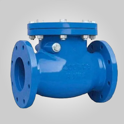 NON RETURN VALVES